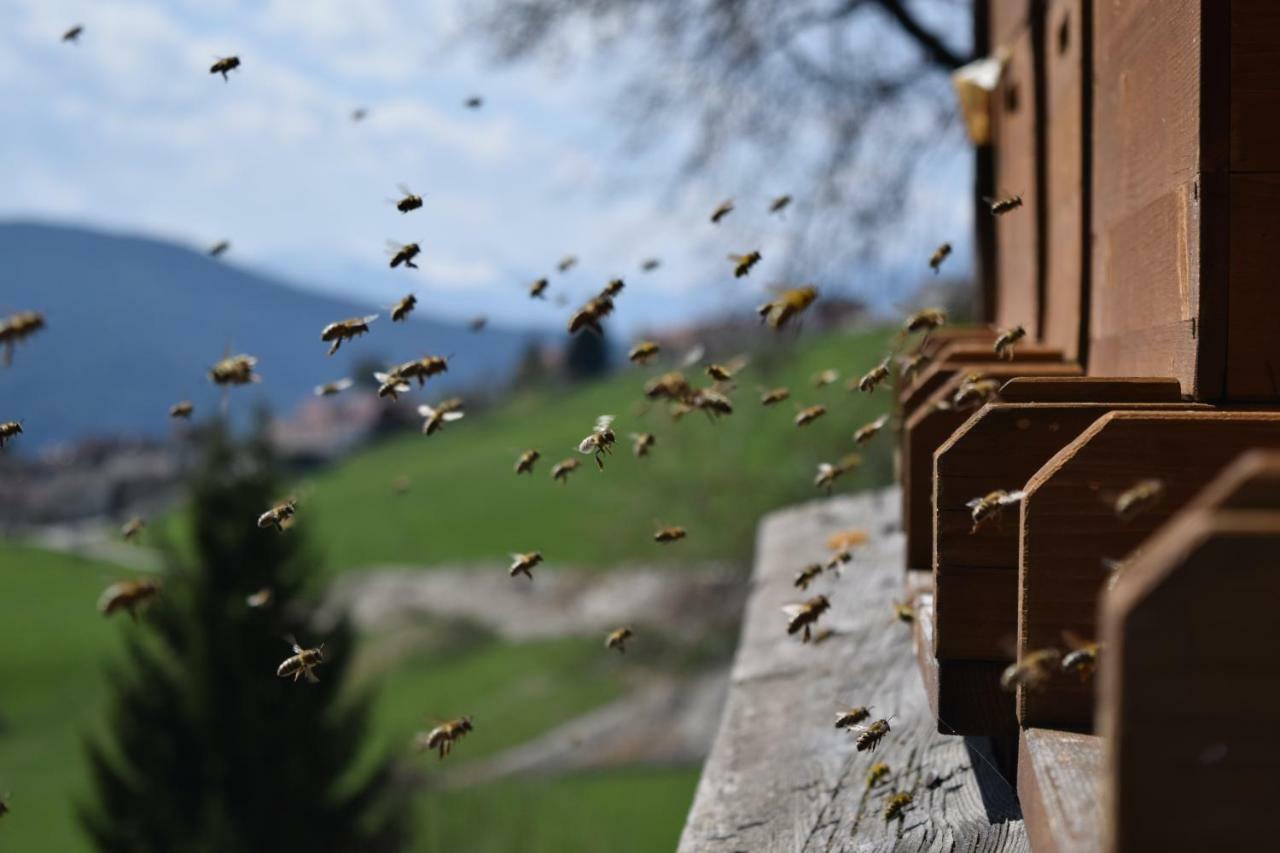 Toetscherhof Terento Dış mekan fotoğraf