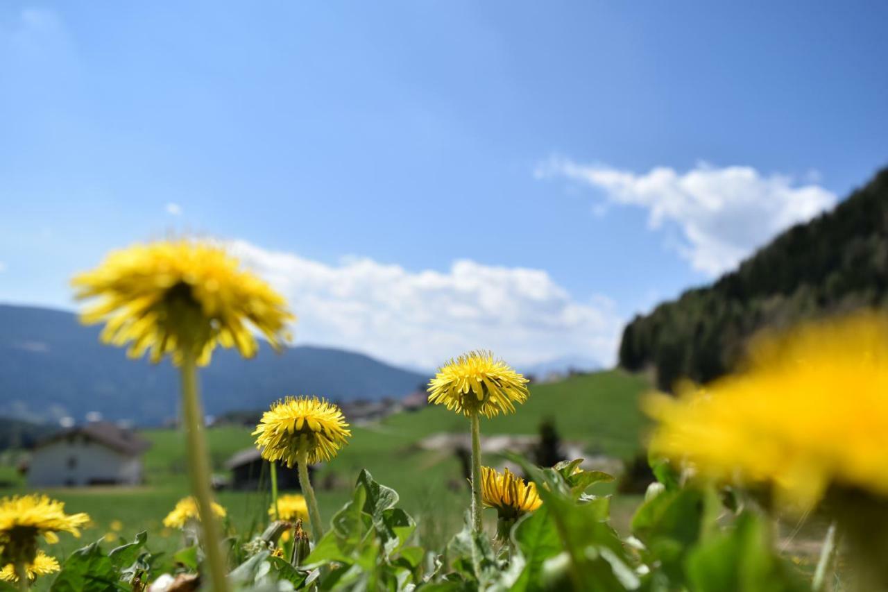 Toetscherhof Terento Dış mekan fotoğraf